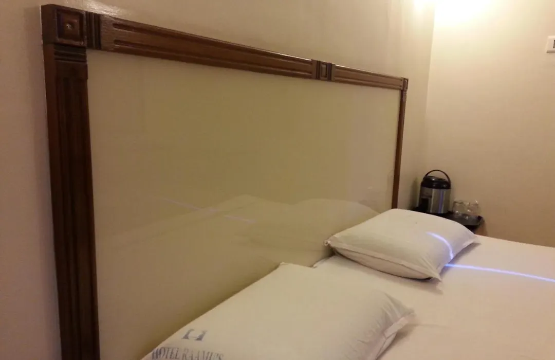 Hotel Raamus-1