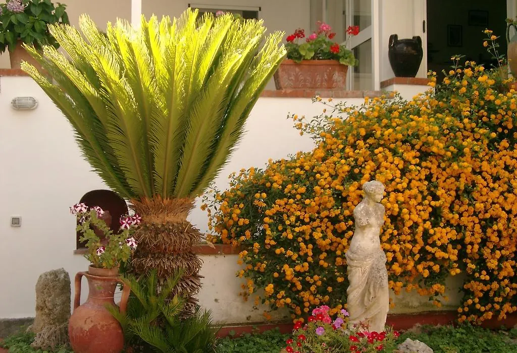 Mediterraneo Bed & Breakfast-1
