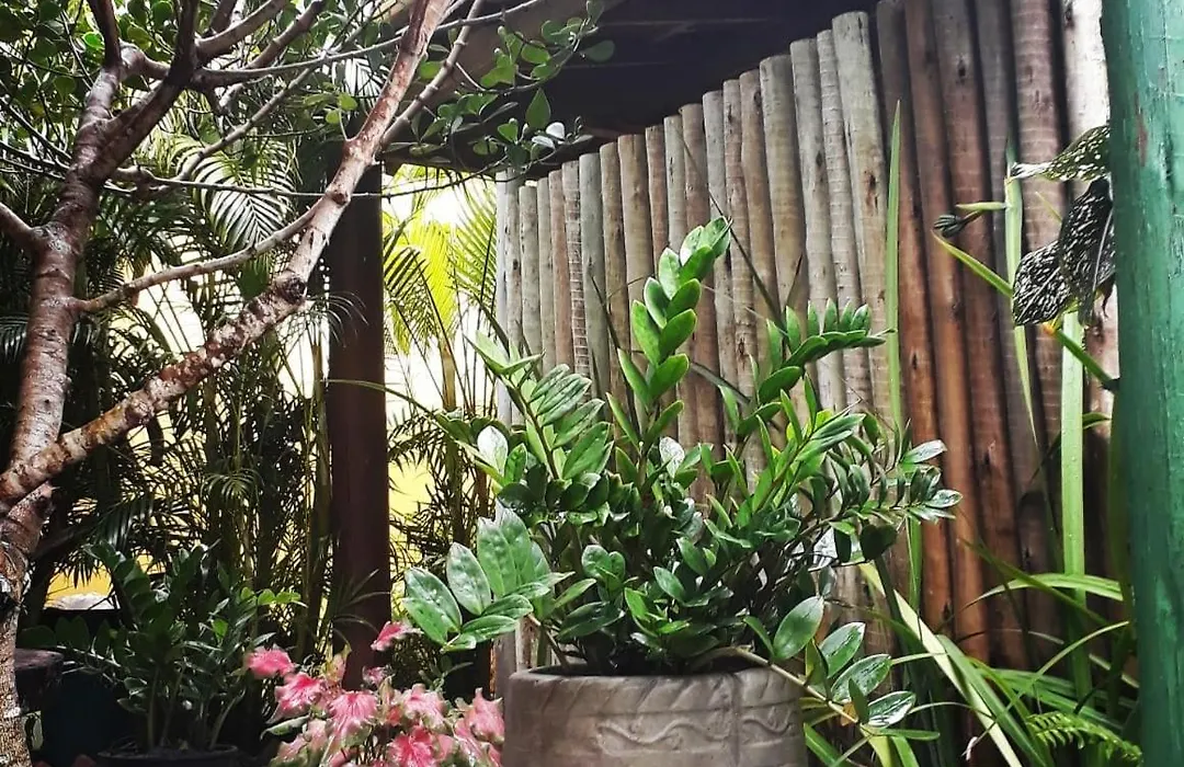 Pousada Corais Do Sul-1