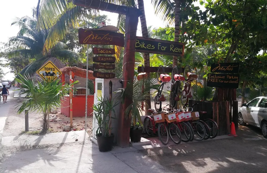 Hotel Serena Glamping Tulum (Adults Only)-1
