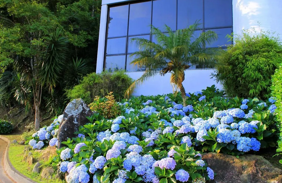Hotel Recanto das Hortênsias-1
