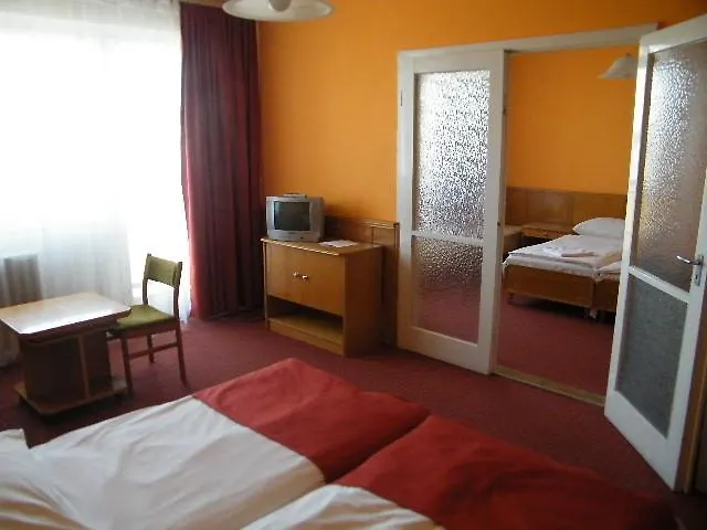 Hotel Magistern-1