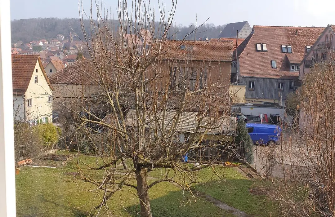 Gasthof Blauer Bock-1