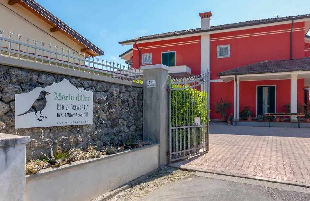 Merlo d'Oro-1