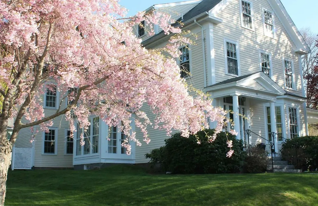 The Beech Tree B&B-1