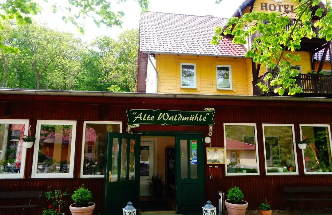 Alte Waldmühle-1
