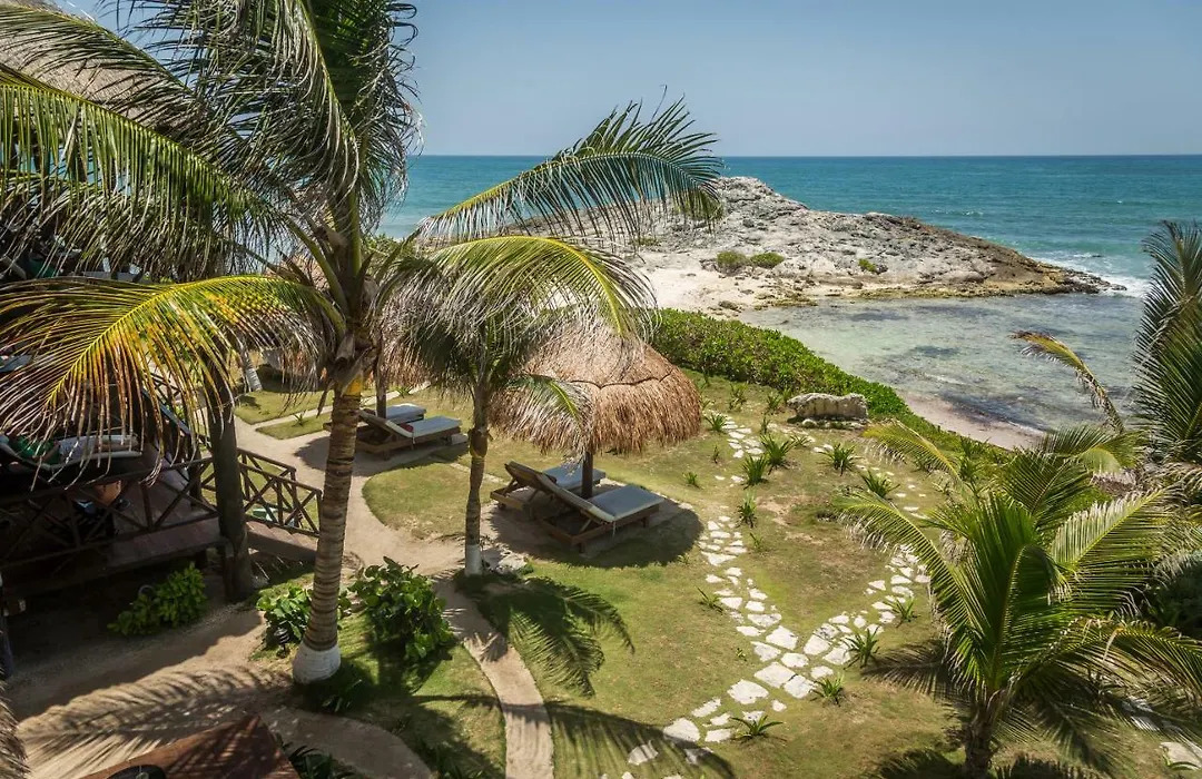 El Pez A Colibri Boutique Hotel-1