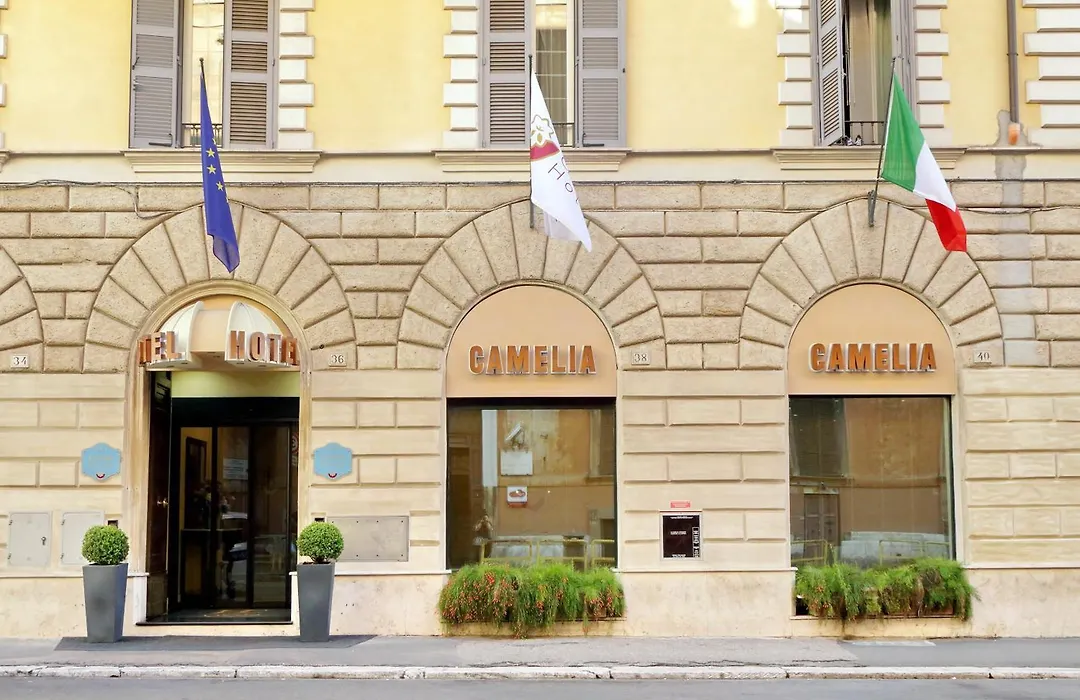 Hotel Camelia-1