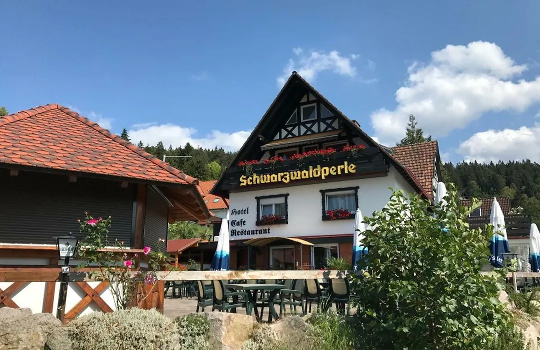 Hotel-Berggasthof Schwarzwaldperle-1