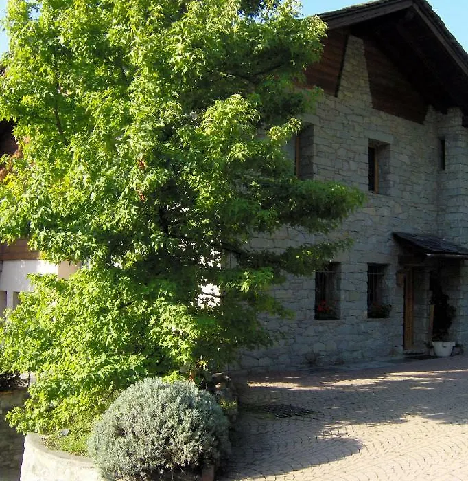 Le Lierre-1