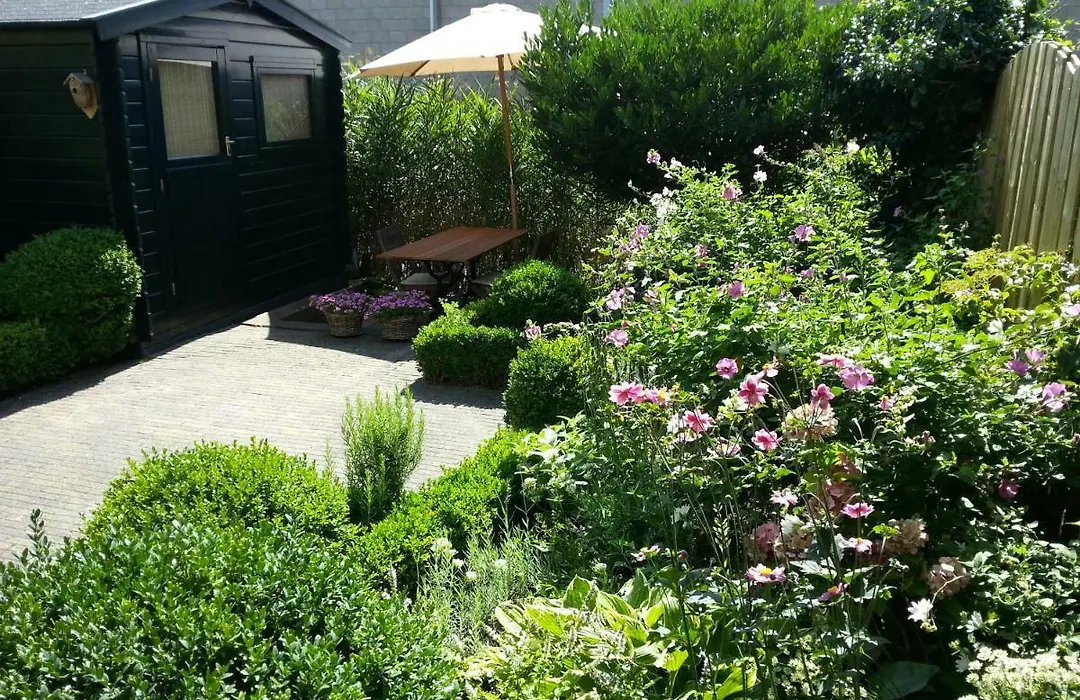 Bed&Breakfast Frans Hals Haarlem-1