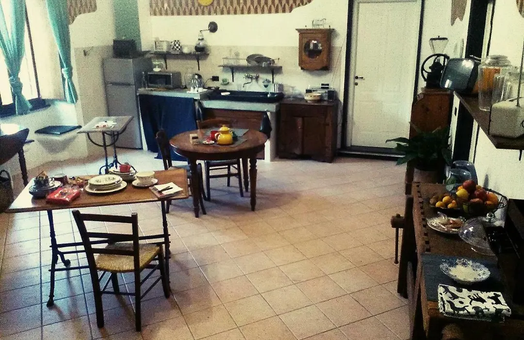 Oddi21 B&B-1