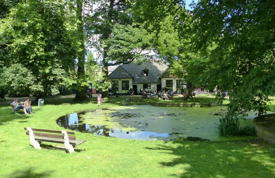 B&B Onder de rode beuk-1