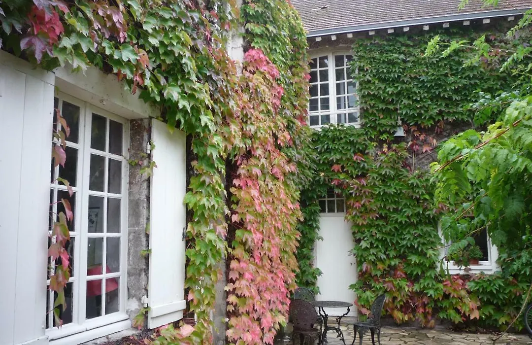 La Vigne Vierge-1