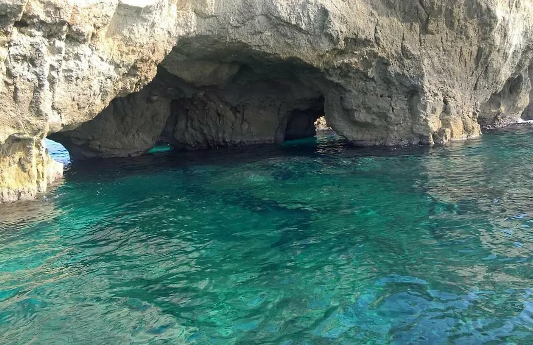 Acquarium Tropea-1