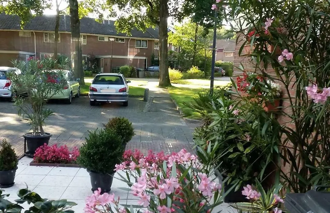 Enschede-1