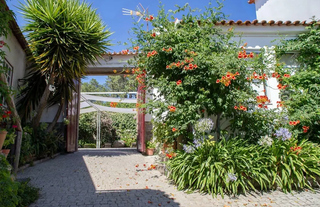 Quinta Da Estrada Winery Douro Valley-1