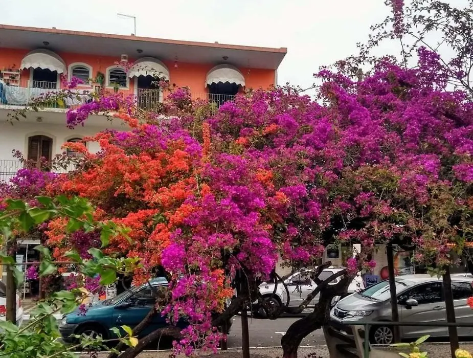 Villa Franco-1