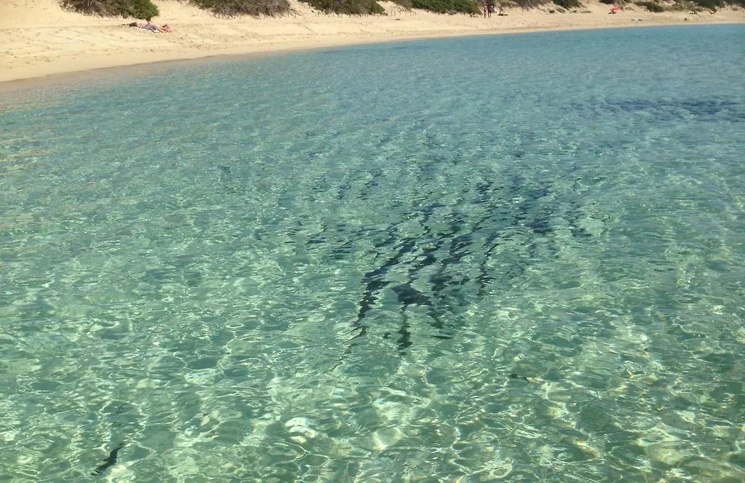 “Angel Bay b&b Punta Prosciutto” is located in the heart of Punta Prosciutto-1