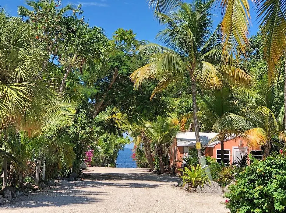The Pelican Key Largo Cottages-1