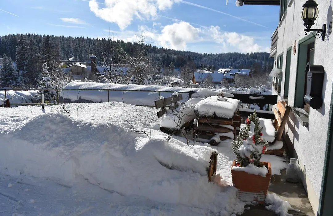 Pension Wiesengrund-1