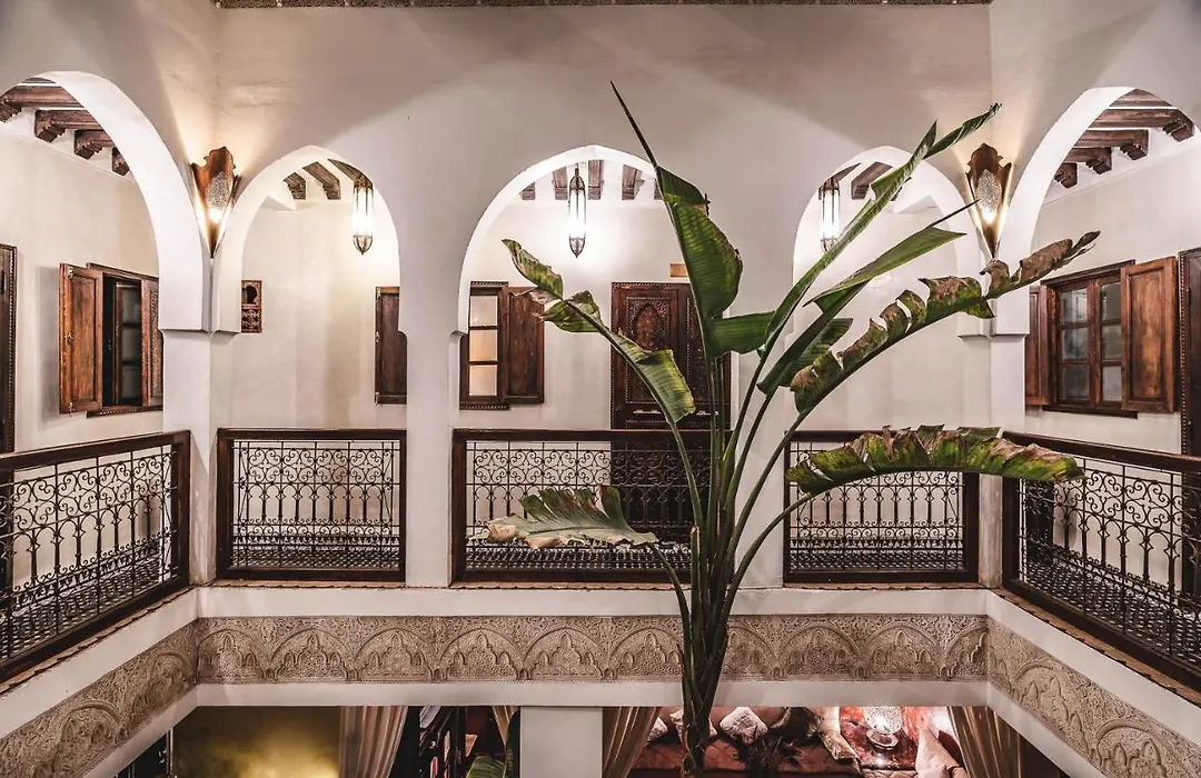 Riad Aguaviva-1