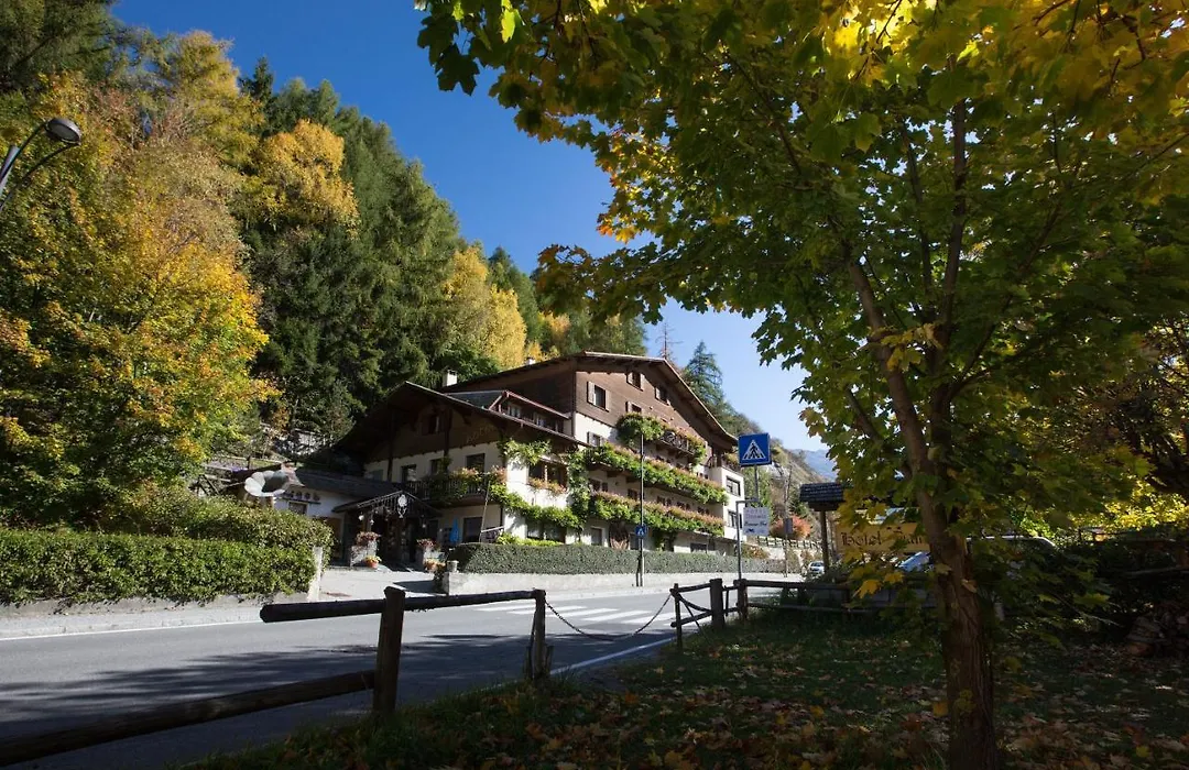 Hotel Daniela-1