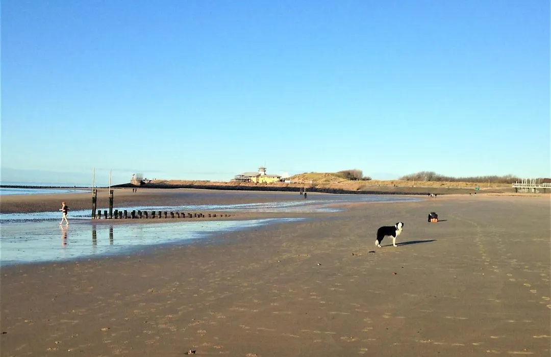 Westerschelde B&B-1