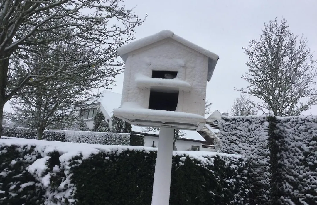 B&B Colombe Blanche-1
