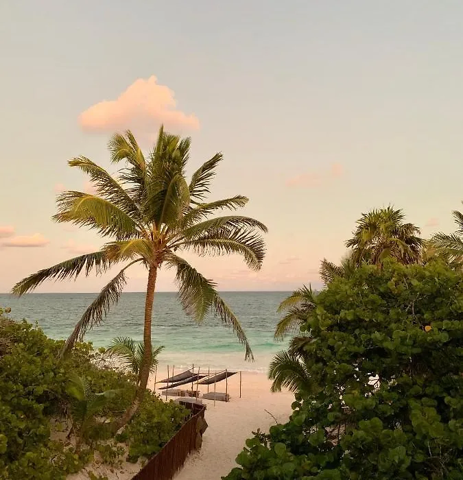 Libelula Tulum Beachfront Hotel-1