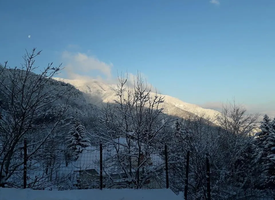 Albergo Capriolo-1