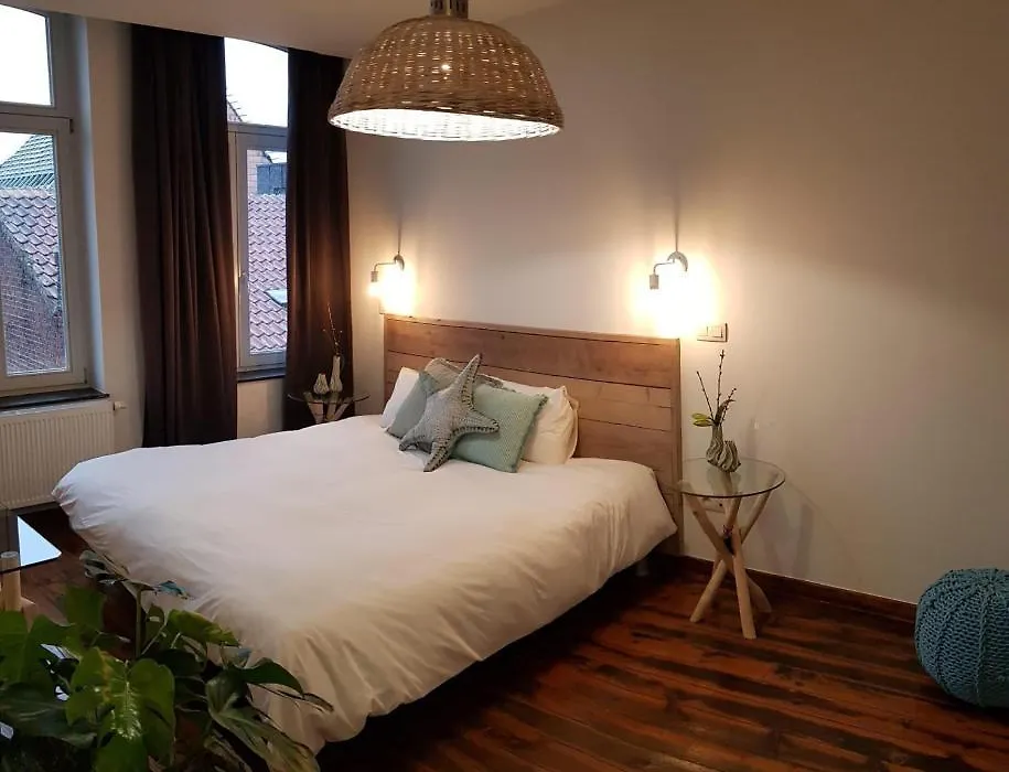 Anthos B&B-1