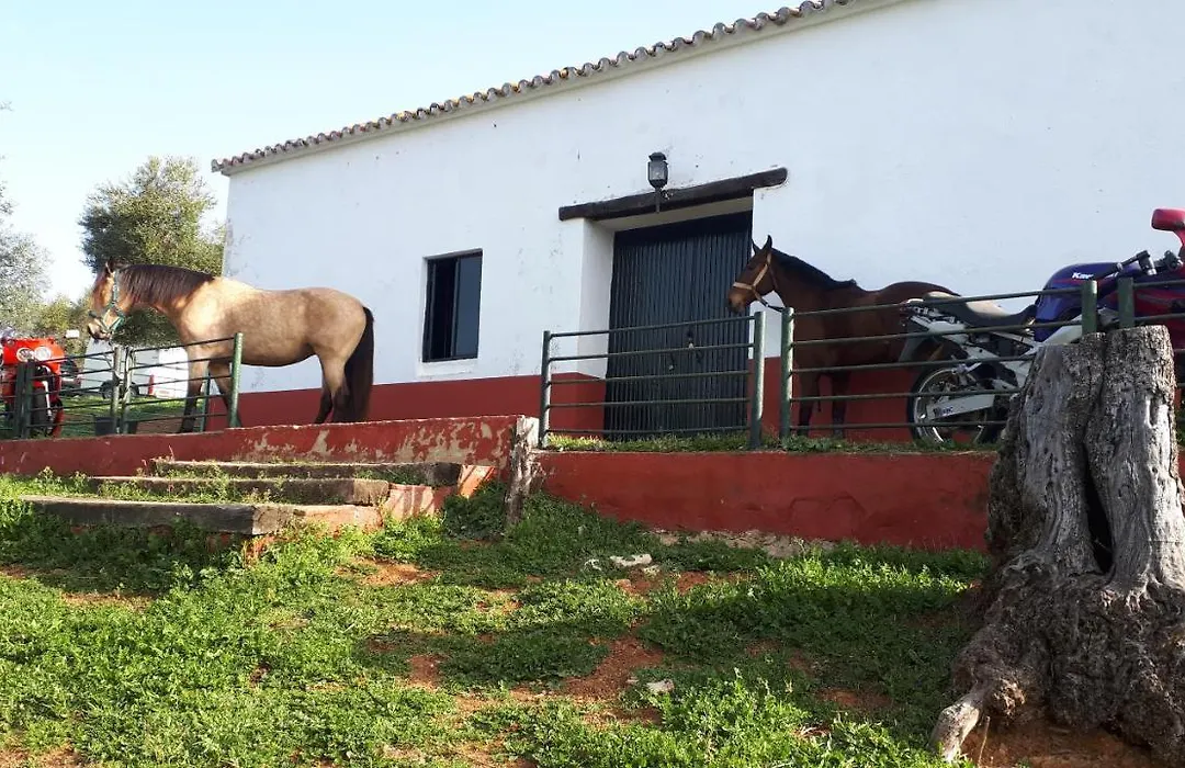 Finca La Carnicera-1