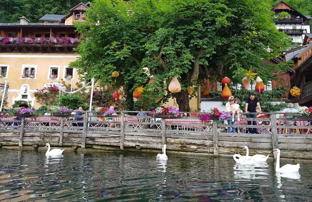 Bräugasthof Hallstatt-1