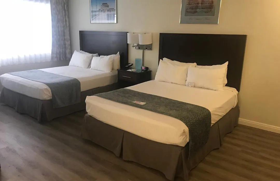 Hollywood Orchid Suites-1
