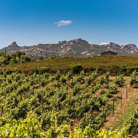 Locanda In Vigna-2