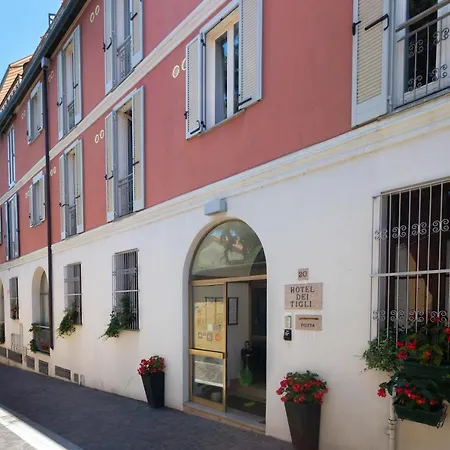 Hotel Dei Tigli-3