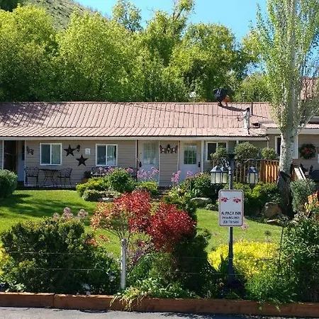 Alpaca Inn, The-2
