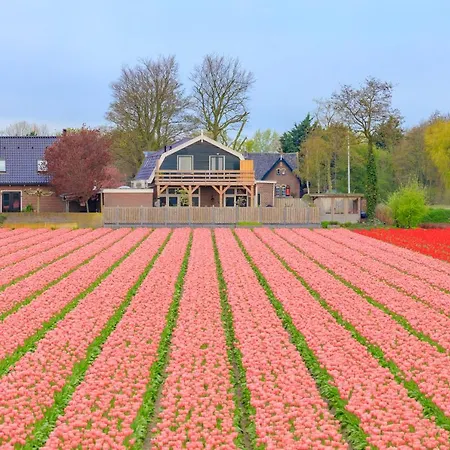 B&B Blossom-2