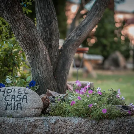Hotel Casa Mia-3