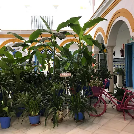 La Casa en el Centro-2