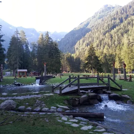 Hotel Pineta-2