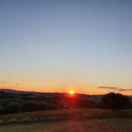 La Collina-2