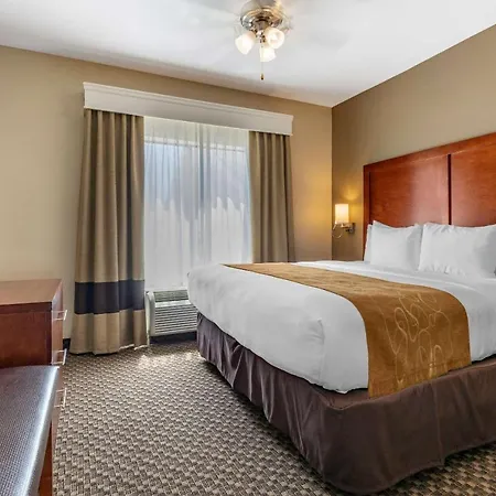 Comfort Suites Lufkin-3