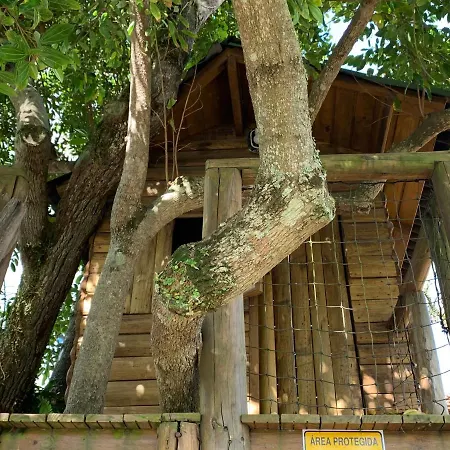 Beach House Floripa-3