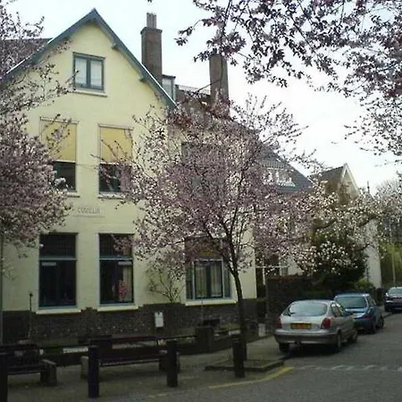 Villa Cornelia Bed & Breakfast-3