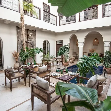 Riad Farhan-3