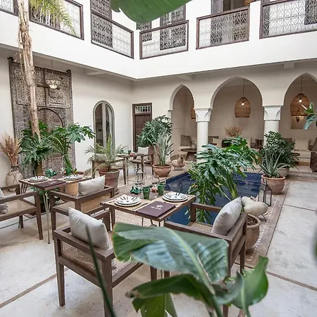 Riad Farhan-2