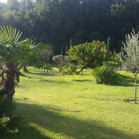 Provence-2