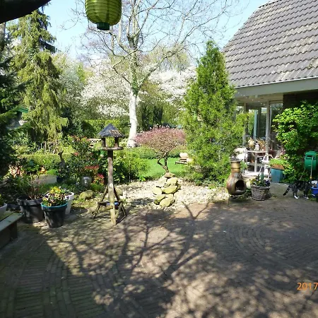 Wiersse 68-3